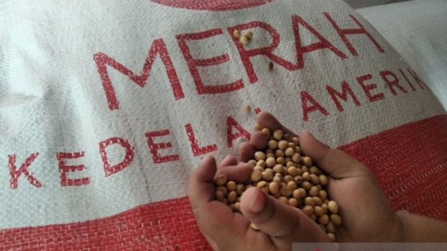 Akindo: Stok Kedelai Impor Jelang Ramadan Aman